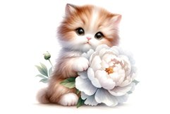 Cute Kitten Product Image 4