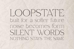 Arcadian Elegant Classic Serif Font Product Image 4