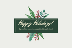 Snowberry Brush Product Image 4