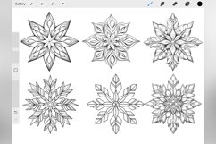 100 Procreate Snowflake Stamp Brushes Product Image 2