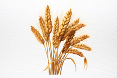 Christmas Nativity Sets Clipart PNG Product Image 4