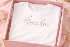 Amour Glance - Elegant Handwritten Script Font Product Image 4