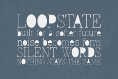 Lonely Moon Whimsical Display Serif Product Image 4