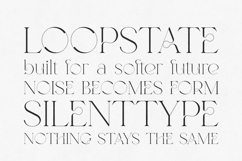 Sirenik Serif Elegant Modern Decorative Typeface Product Image 4