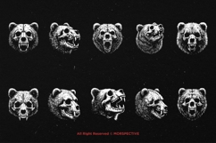 10 Bundle Dark Art Bear Skull Animal Beast Horror Scary Product Image 6