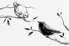 Sketch Brushes for Procreate Product Image 4