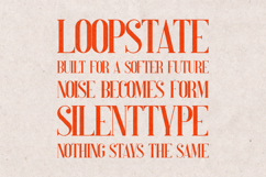 Perfectly Splendid Serif Font Elegant Display Product Image 4