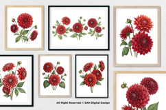 15 Bundle Watercolor Red Dahlias Flower Blossom Bouquet Product Image 4