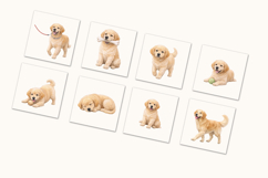 Labrador Clipart Collection - 20 PNGs Product Image 4