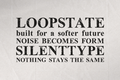 Oldink Vintage Rough Serif Font Product Image 4