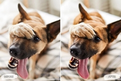 10 Velvet Mocha Mobile Lightroom Presets Product Image 4