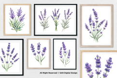 15 Bundle Watercolor Lavender Flower Purple Rustic Vintage Product Image 4