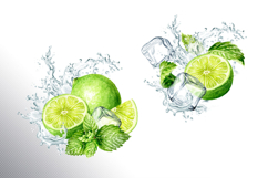 Mojito. Hand drawn watercolor set Product Image 5