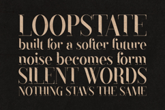 Black Goose Elegant Luxury Serif Font Product Image 4