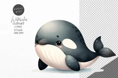 Ocean clipart, Killer whale clipart, Watercolor Product Image 1