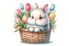 Baby Bunny Product Image 5