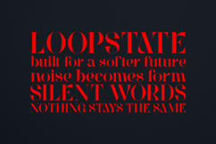 Wonderz Elegant Modern Serif Typeface Product Image 4