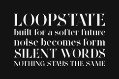Wonderz Vogue Elegant Fashion Serif Font Product Image 4