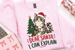 Cat Christmas PNG, Dear Santa I Can Explain PNG, Funny Tabby Product Image 4