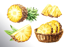 Tropical Pineapple Product Image 5