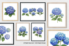 15 Bundle Watercolor Hydrangea Flower Blue Floral Garden Product Image 4