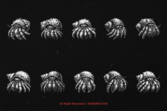 10 Bundle Dark Art Hermit Crab Animal Shell Sea Beach Hand Product Image 6