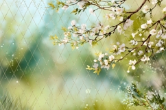 Chamomile Background, Floral Background Designs Product Image 4