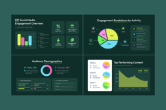 Social Media KPI Dashboard Infographic Product Image 4