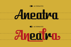 Aneatra Product Image 4