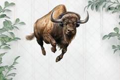 American Bison Sublimation Clipart Product Image 1