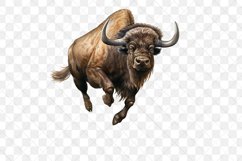 American Bison Sublimation Clipart Product Image 3