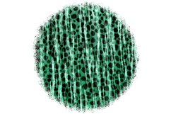 Abstract Animal Skin Sublimation Designs. Product Image 7