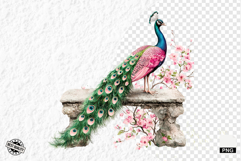 Pink Peacocks Garden Clipart - Peacock PNG Product Image 1