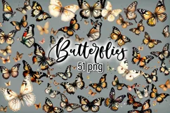 Butterfly clipart, Butterfly PNG, Butterfly painting, 51 PNG Product Image 1