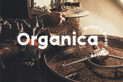 Breadsticks A Distressed Sans Product Image 4