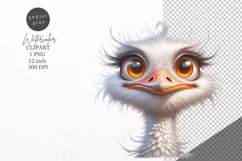 Ostrich clipart, Bird clipart, Funny clipart Product Image 1