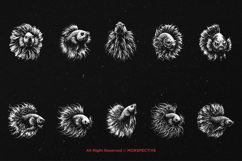 10 Bundle Dark Art Betta Fish Predator Fighting Fish Animal Product Image 6
