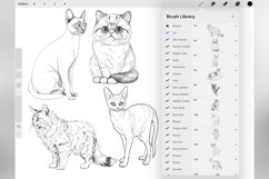 100 Procreate Cats Stamp Brushes Product Image 4