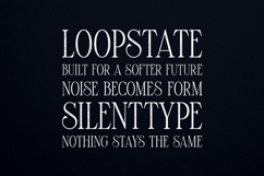 Maturation Lines Modern Classic Serif Typeface Product Image 4