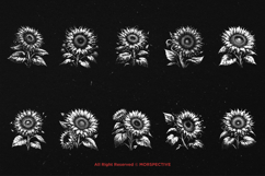 10 Bundle Dark Art Sun Flower Botanical Sunflower Floral Product Image 6