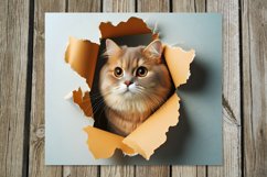 Cats &amp; wall | skinny tumbler Sublimation design bundle Product Image 4