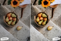 10 Crisp Leaves Mobile Lightroom Presets Product Image 4