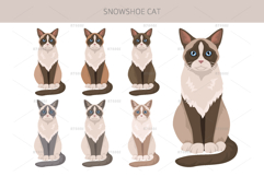 Snowshoe Cat Product Image 3