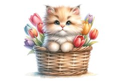 Cute Kitten Product Image 5