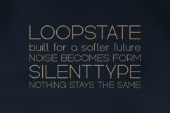 Kindel Elegant Modern Sans Serif Font Product Image 4