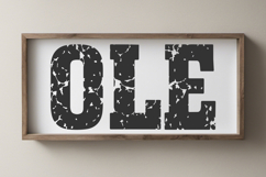 Vintage Varsity Distressed Font | Grunge College Athletic Product Image 4