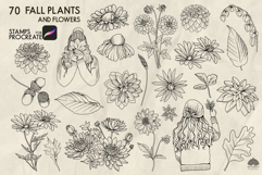70 Fall plants and flowers Procreate stamp brush Product Image 4