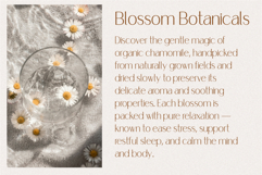 Coraline Sans Serif Font Product Image 8