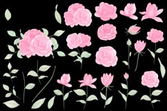 Watercolor pions wedding flowers clipart Product Image 4