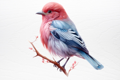 Chirstmas Birds Clipart PNG Product Image 4